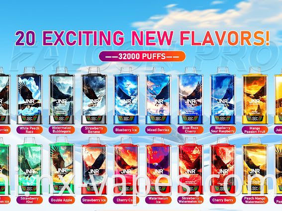 JNR फाल्कन प्रो 28000 (2) JNR Falcon Pro 28000 (2)